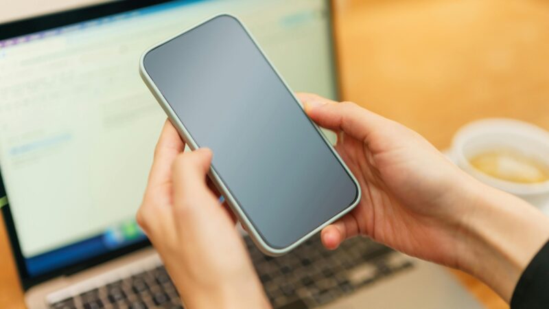 スマホを持っている